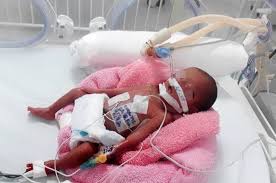 Caritas Việt Nam: Nhịp Tim Yêu Thương
